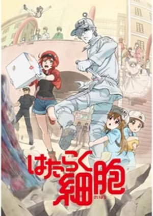 はたらく細胞 メインビジュアル （各画像はそれぞれの権利者が権利を保有しています）