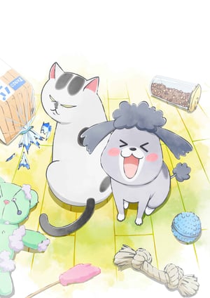 犬と猫どっちも飼ってると毎日たのしい メインビジュアル （各画像はそれぞれの権利者が権利を保有しています）