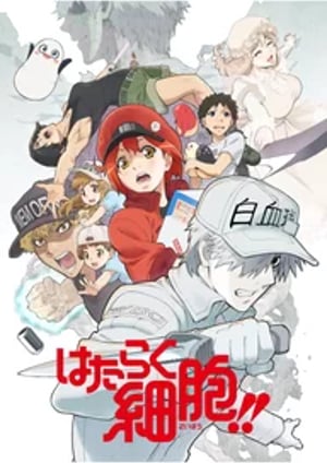 はたらく細胞!! メインビジュアル （各画像はそれぞれの権利者が権利を保有しています）