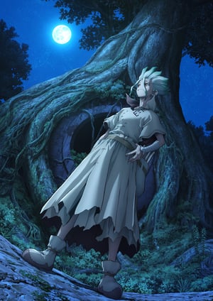Dr.STONE NEW WORLD(第2クール) メインビジュアル （各画像はそれぞれの権利者が権利を保有しています）