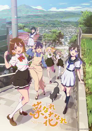 「菜なれ花なれ」 メインビジュアル （各画像はそれぞれの権利者が権利を保有しています）