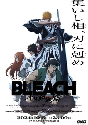 「BLEACH 千年血戦篇-相剋譚-」 メインビジュアル （各画像はそれぞれの権利者が権利を保有しています）