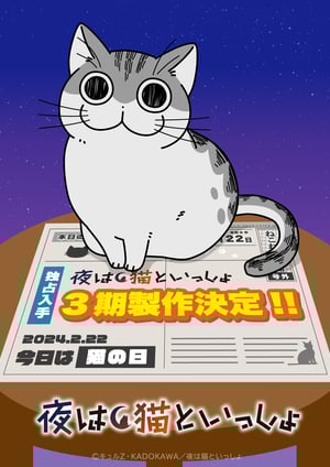 「夜は猫といっしょ(第3期)」 メインビジュアル （各画像はそれぞれの権利者が権利を保有しています）