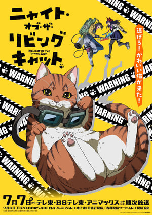 ニャイト・オブ・ザ・リビングキャット メインビジュアル （各画像はそれぞれの権利者が権利を保有しています）