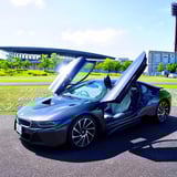 Car-Brummell icon
