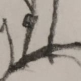 昆布 icon