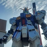 太樹 icon