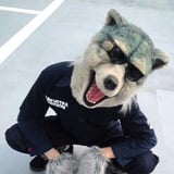 zakki icon