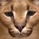 大西タクシー(個人) icon