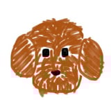 わらびもち icon