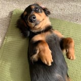ユウキ icon